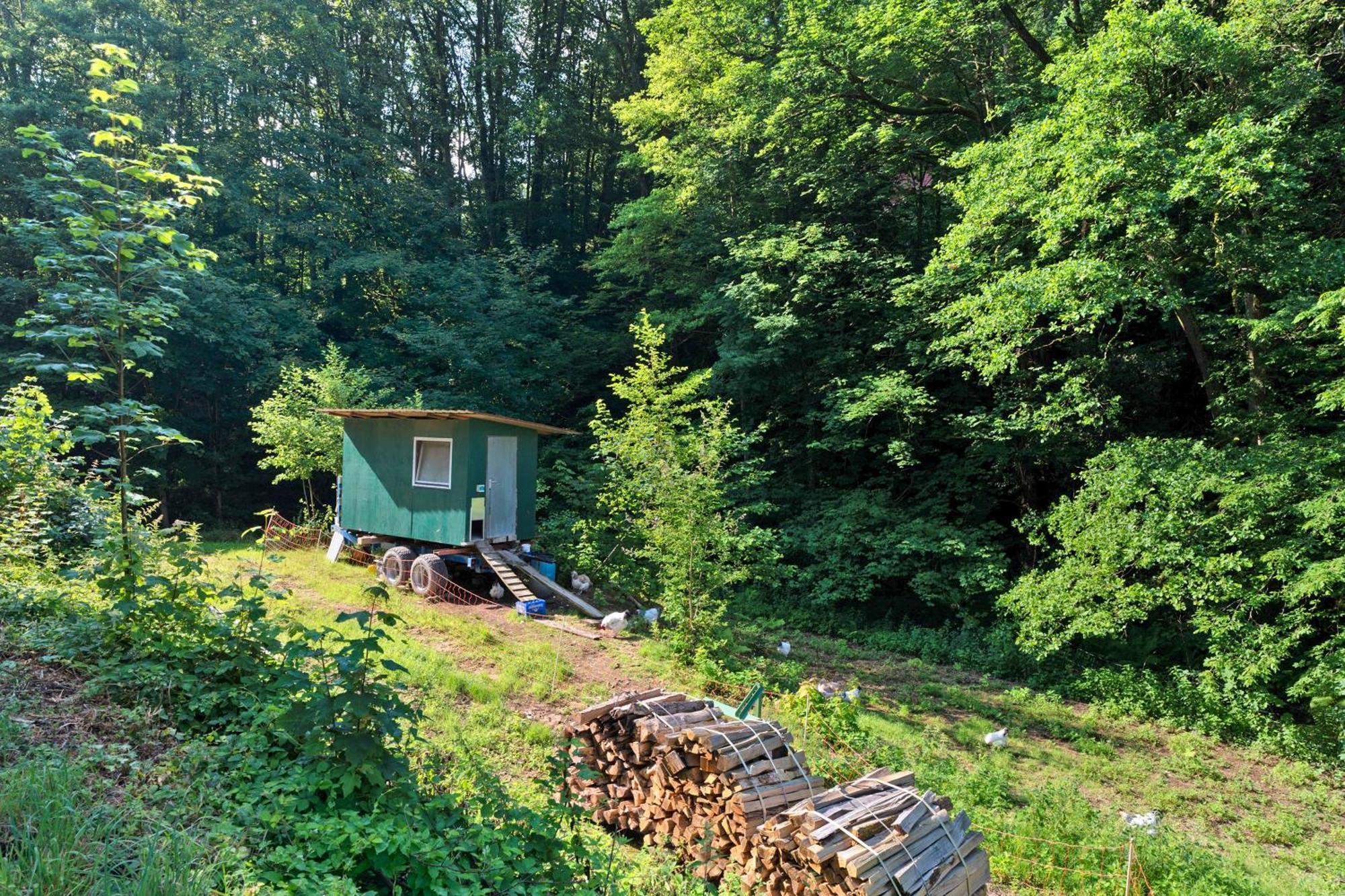 Ferienwohnung Am Hirschfelsen Bühlertal Esterno foto