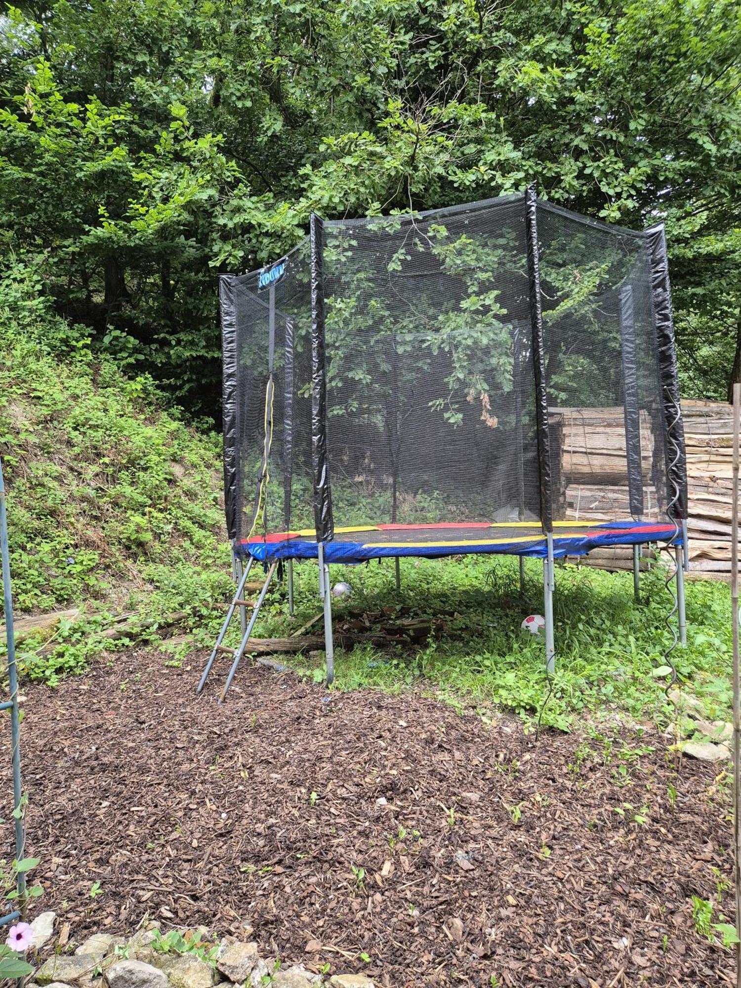 Ferienwohnung Am Hirschfelsen Bühlertal Esterno foto